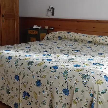 Dolomiti ホテル 3*